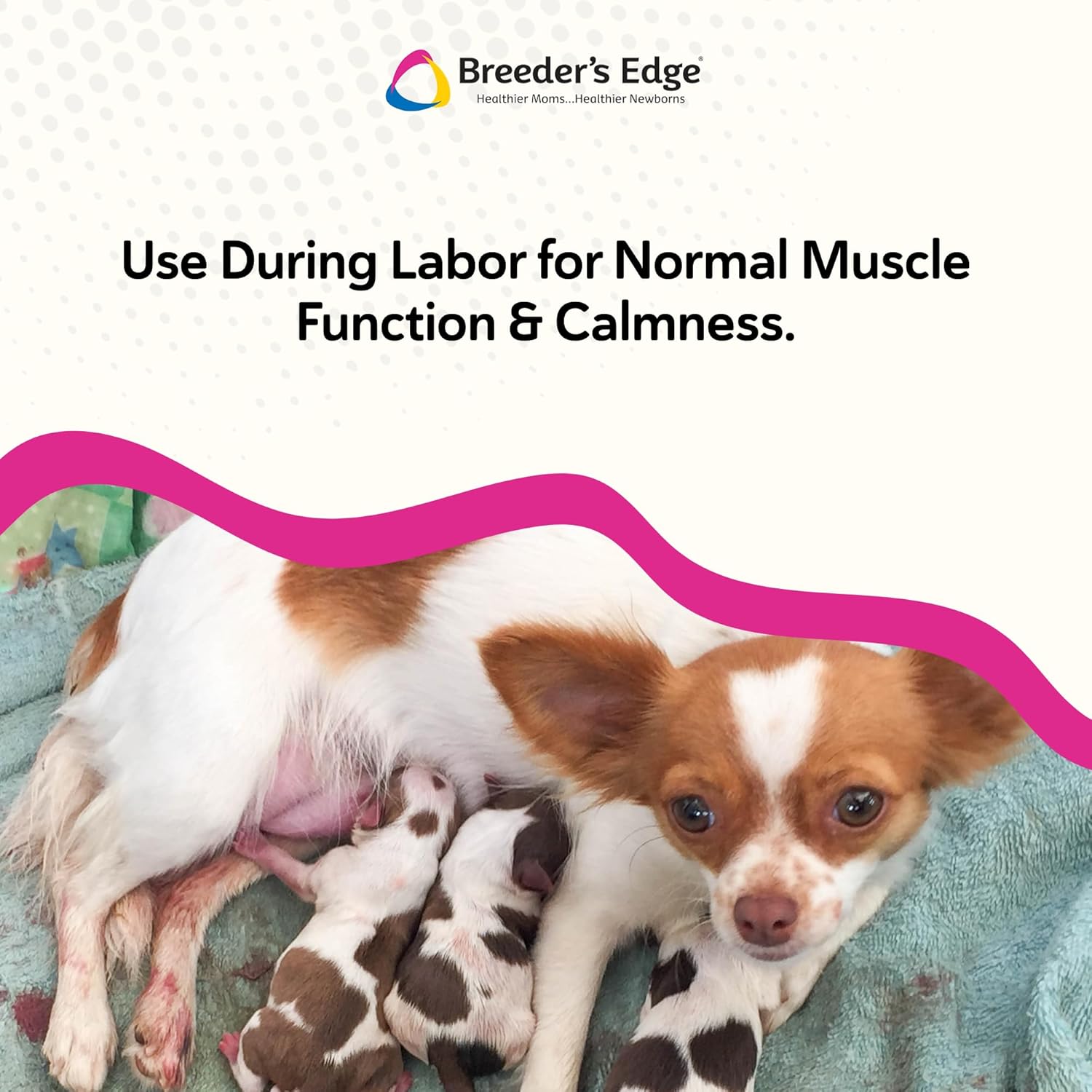 Breeder's Edge Oral Cal Plus Gel, Whelping and Queening Calcium Supplement Gel for Dogs and Cats Delivers 3 Calcium Sources in Labor to Support Strong and Normal Contractions, 30ml Paste image 5