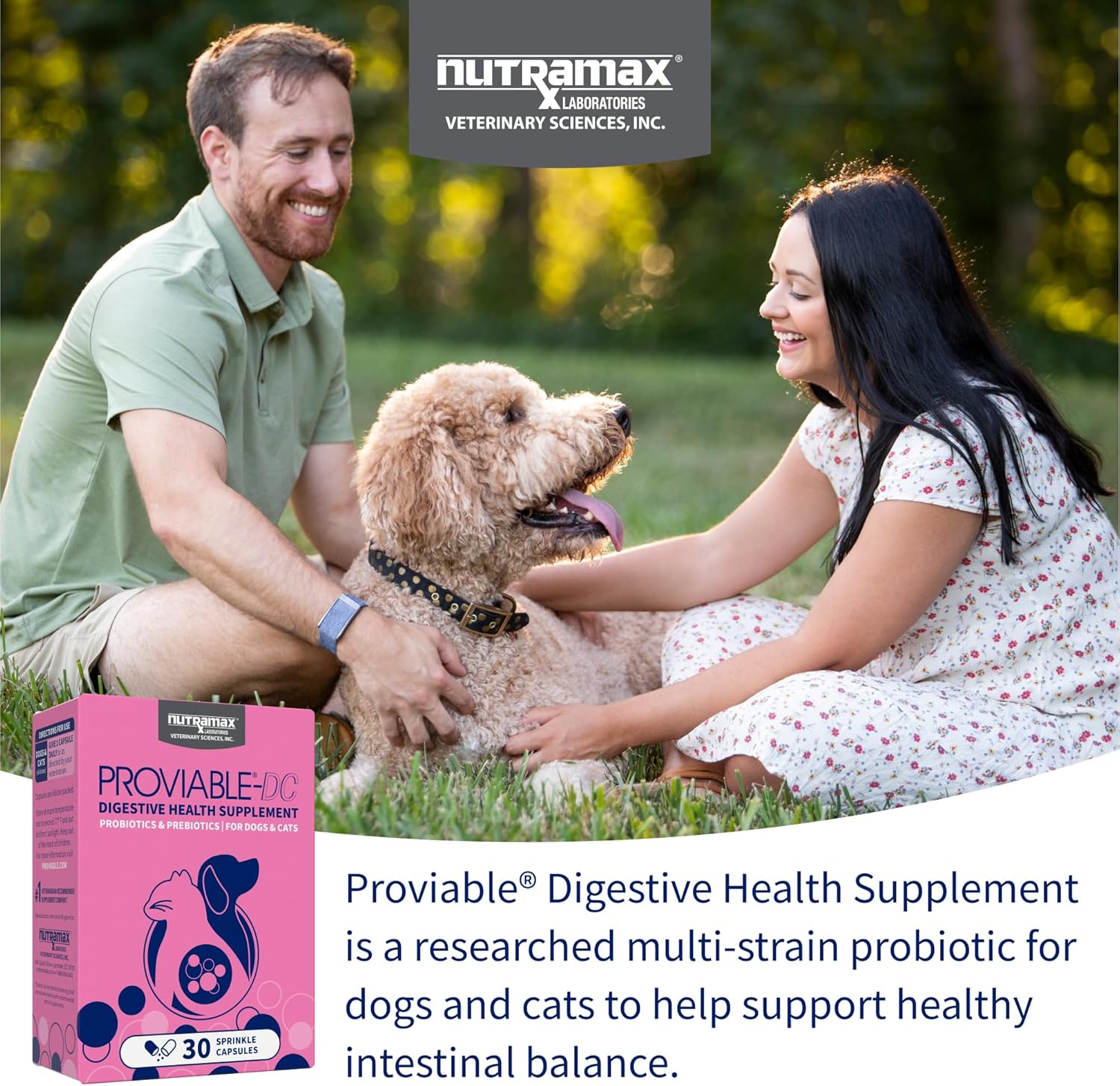 Nutramax Proviable Probiotics for Dogs and Cats, Daily Digestive Health Supplement with Multiple Strains of Bacteria, Cat and Dog Probiotics Plus Prebiotics, 30 Capsules image 3