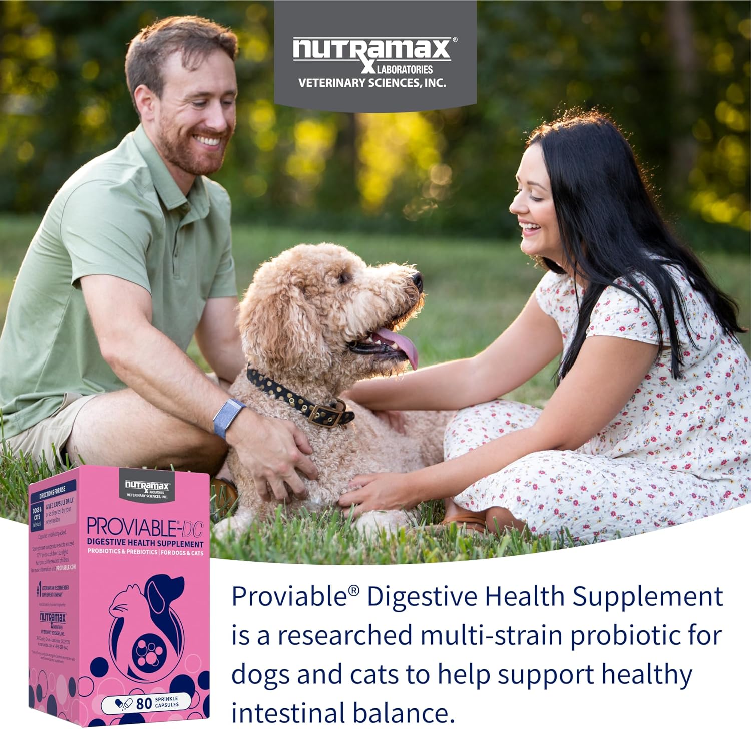 Nutramax Proviable Probiotics for Dogs and Cats, Daily Digestive Health Supplement with Multiple Strains of Bacteria, Cat and Dog Probiotics Plus Prebiotics, 80 Capsules image 3