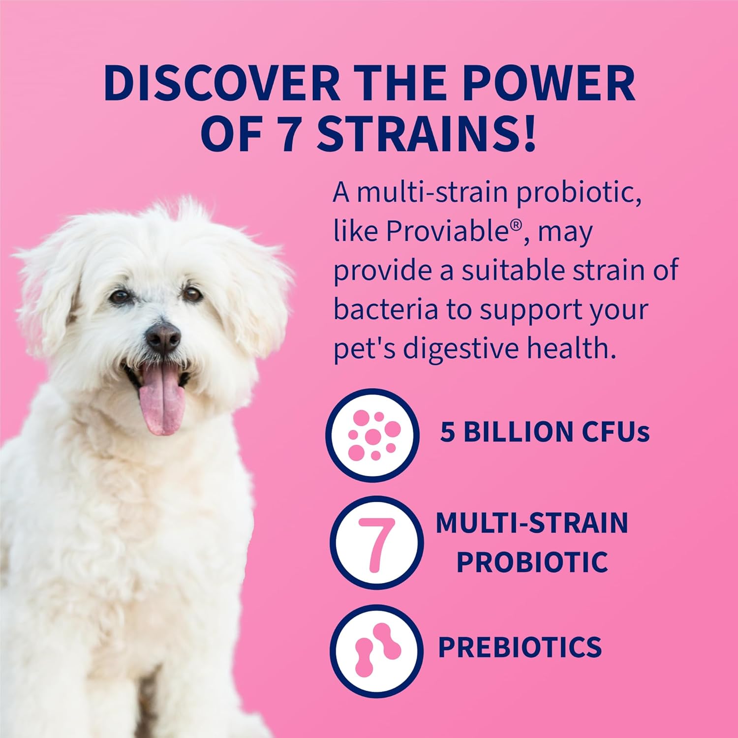 Nutramax Proviable Probiotics for Dogs and Cats, Daily Digestive Health Supplement with Multiple Strains of Bacteria, Cat and Dog Probiotics Plus Prebiotics, 80 Capsules image 4