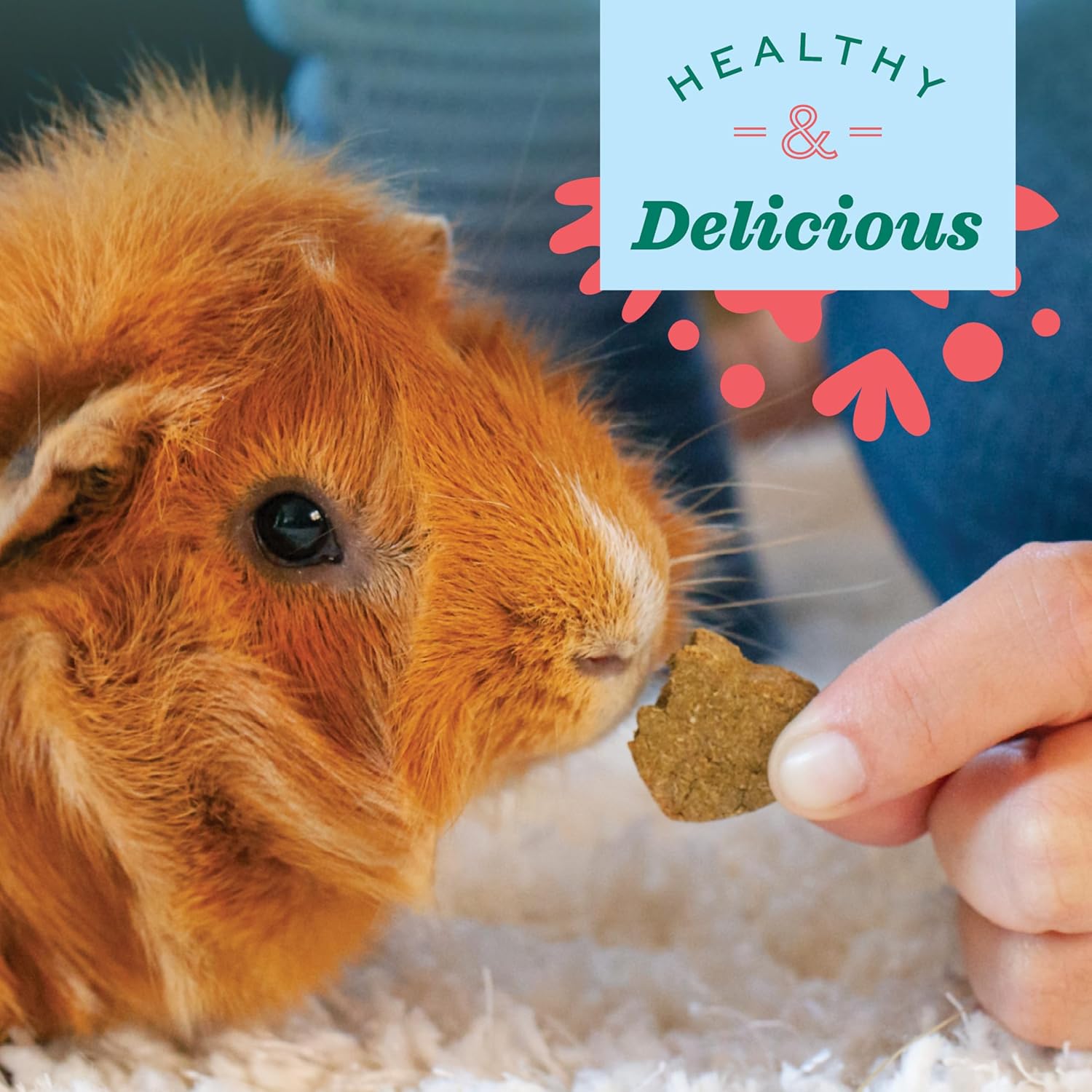 Oxbow Animal Health Simple Rewards Veggie Treats, Carrots & Bell Pepper Guinea Pig & Bunny Treats, Pet Snack for Rabbit & Guinea Pig, Made with Oxbow Hay, Alfalfa for Rabbit, 3 oz Bag image 6