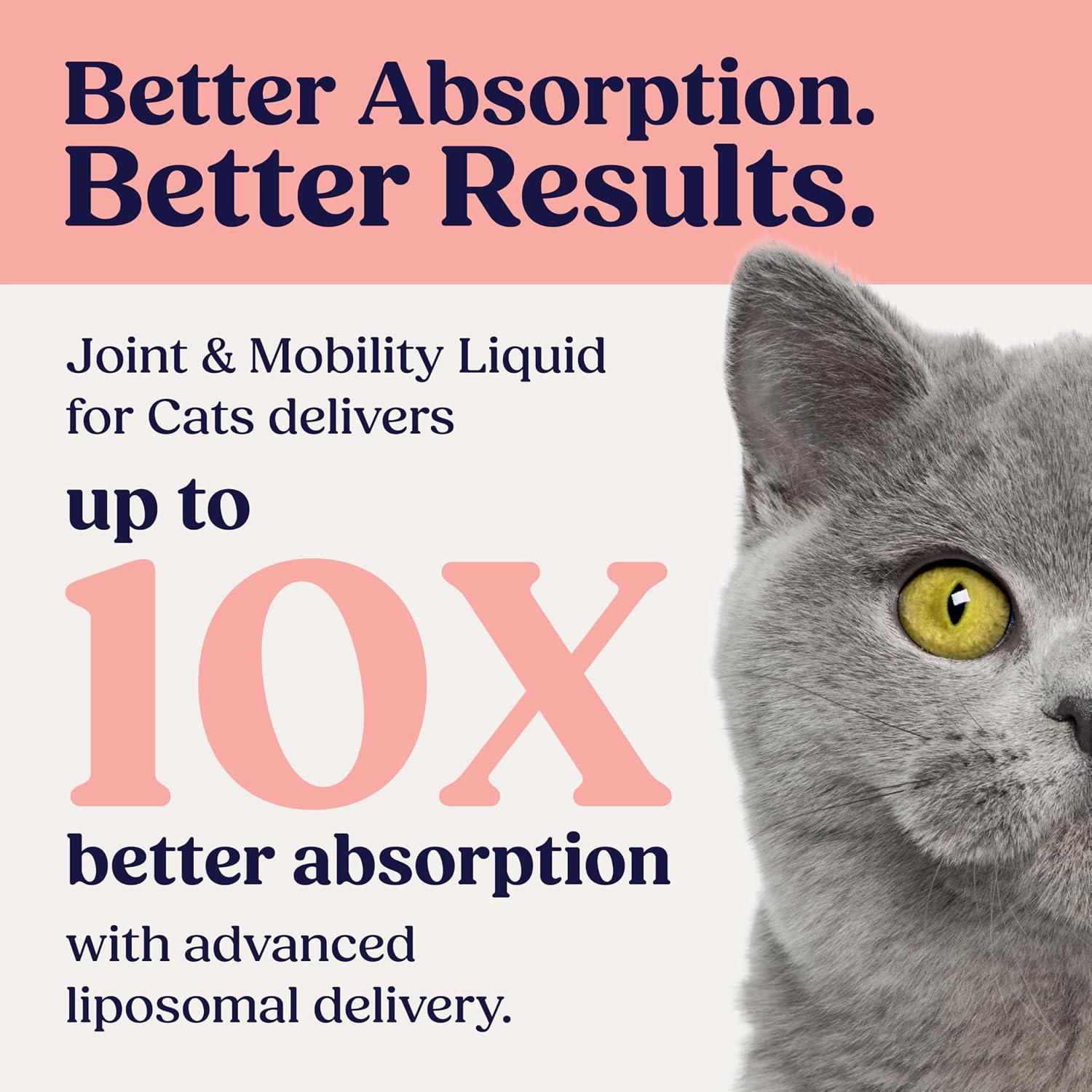 Summit Feline Pain Relief Supplement Inflammation Hip & Joint Support Vitamin for Cats - Natural Chrondroitin with Liposomal Delivery for Arthritis - Drug Free - All Ages image 2