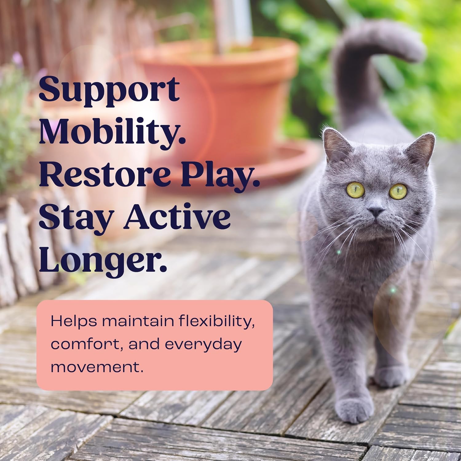 Summit Feline Pain Relief Supplement Inflammation Hip & Joint Support Vitamin for Cats - Natural Chrondroitin with Liposomal Delivery for Arthritis - Drug Free - All Ages image 4